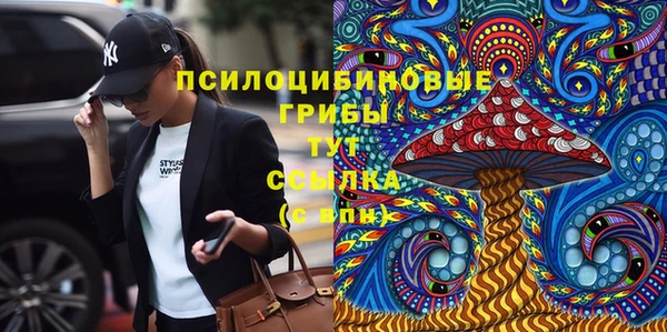 2c-b Верхнеуральск