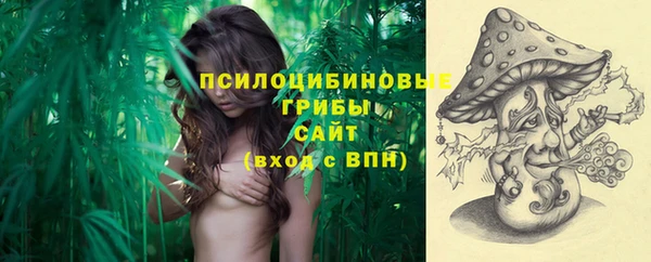 спиды Володарск