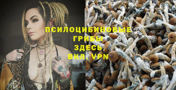 ALPHA-PVP Верхний Тагил