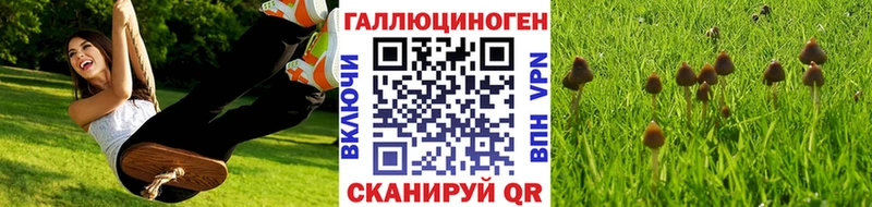 Псилоцибиновые грибы MAGIC MUSHROOMS  Купить  Лодейное Поле 