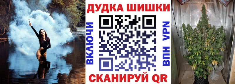 Конопля Amnesia  Купить  Лодейное Поле 